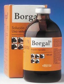 borgal