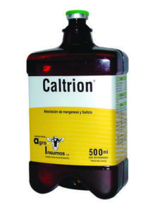 caltrion