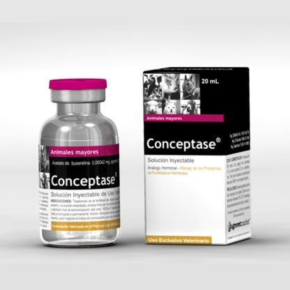 conceptase