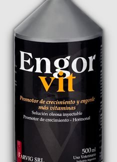 engorvit