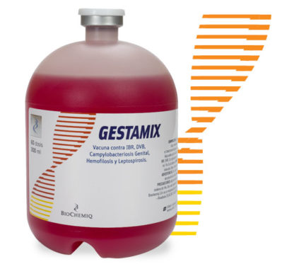 gestamix