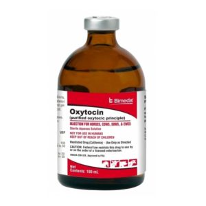 oxytocin