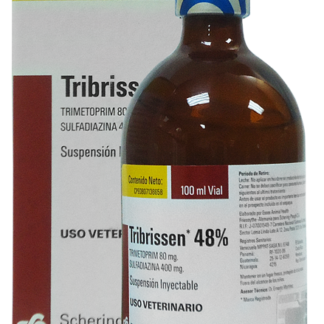 tribrisen