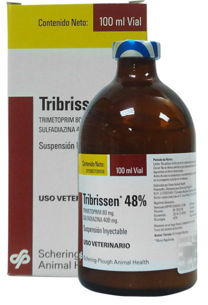 tribrisen